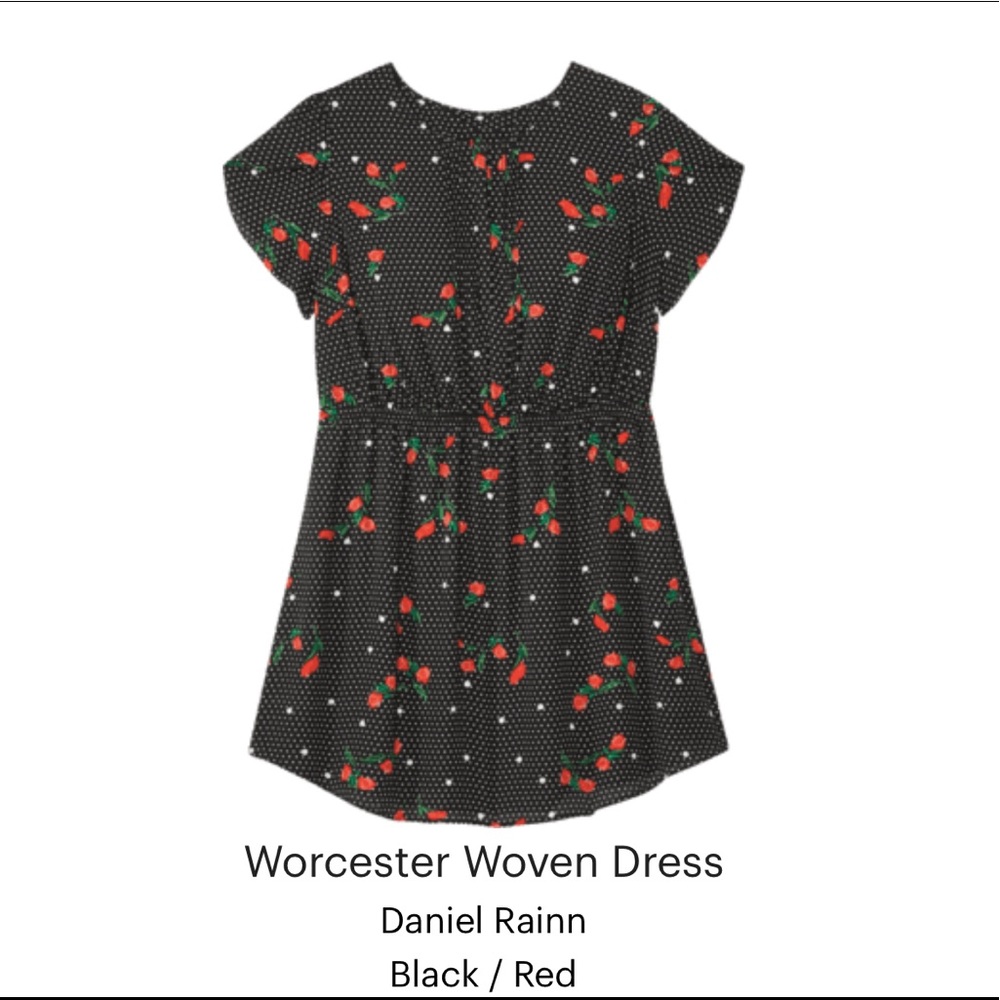 DanielRainn Black Worcester Woven Dress Floral Polka Dot Size 4X Tulip Sleeve